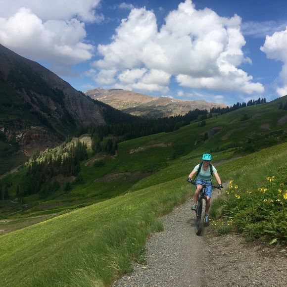 Meet your Posher, Chelsea - Picture 1 of 1